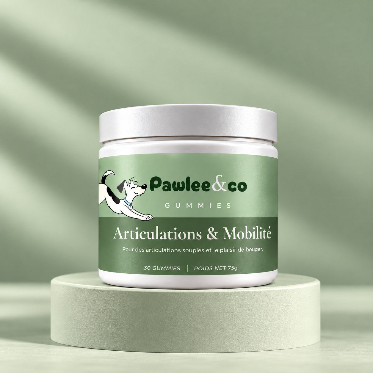 Articulations & Mobilité