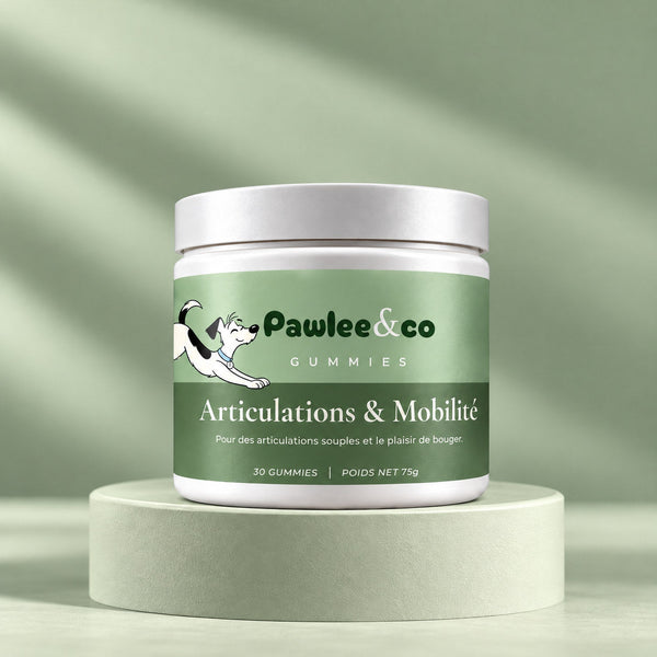 Articulations & Mobilité