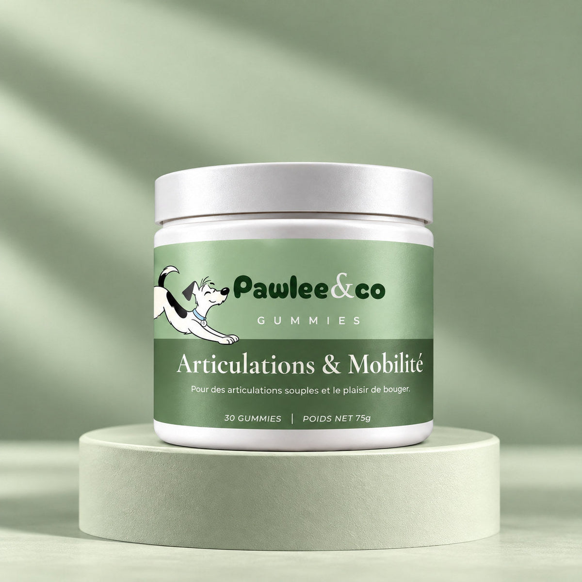 Articulations & Mobilité